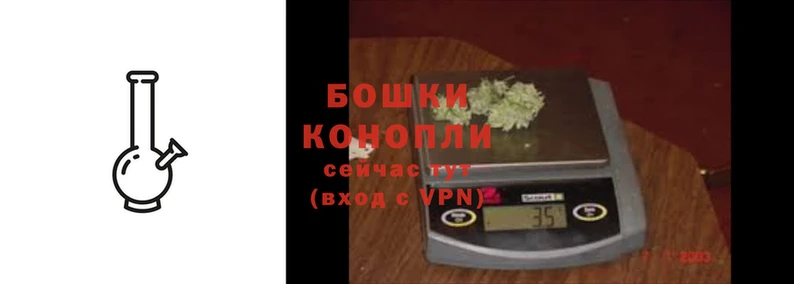 дурь Каменногорск