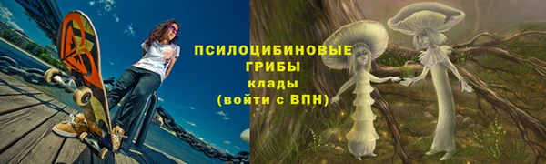мяу мяу мука Алзамай